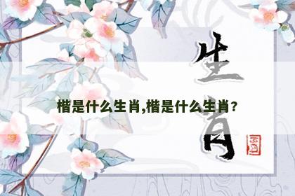 楷是什么生肖,楷是什么生肖?